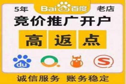 SEM竞价代运营助力企业高效拓展市场